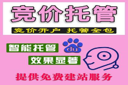 百度搜索广告运营推广：某行业领先企业的秘密武器